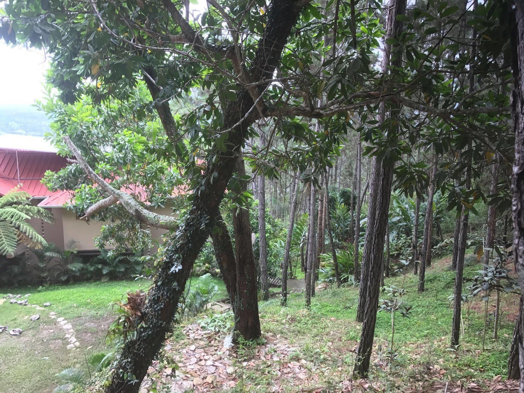 Rancho Tierra Alta Hotel คาราวากวา ภายนอก รูปภาพ